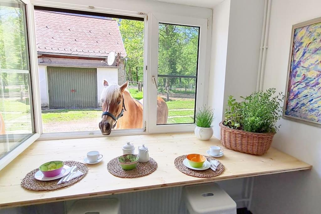 Cosy Family Apartment Reichenau Kültér fotó